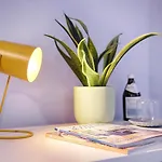 Homie Kunterbunt Hotel 3*
