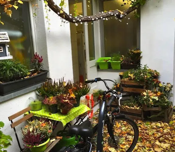 Kunterbunt In Wuerzburger Innenstadt 3* Würzburg